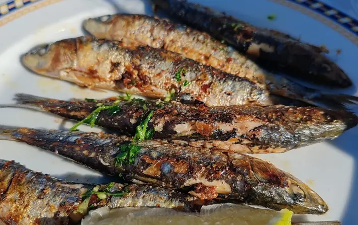 Sardinhas assadas